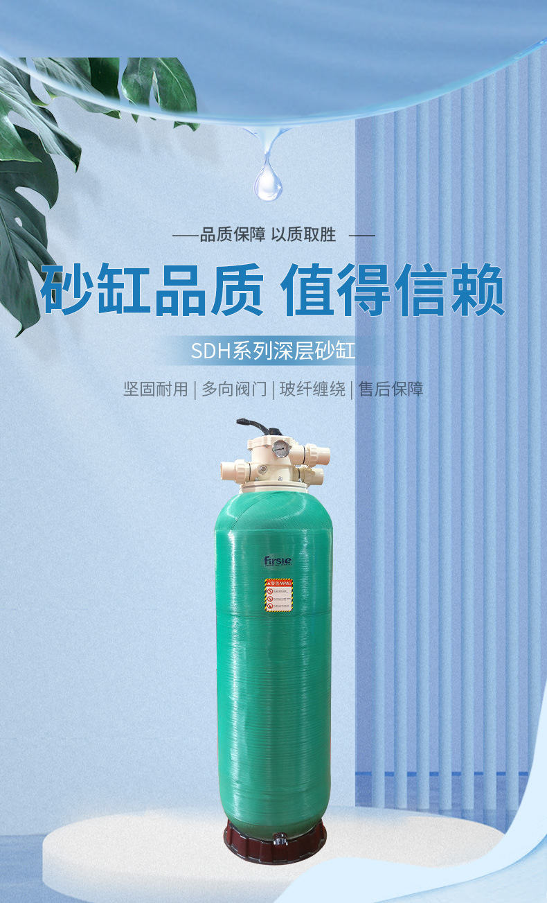 SDH頂出式深層砂缸過濾器(圖1)