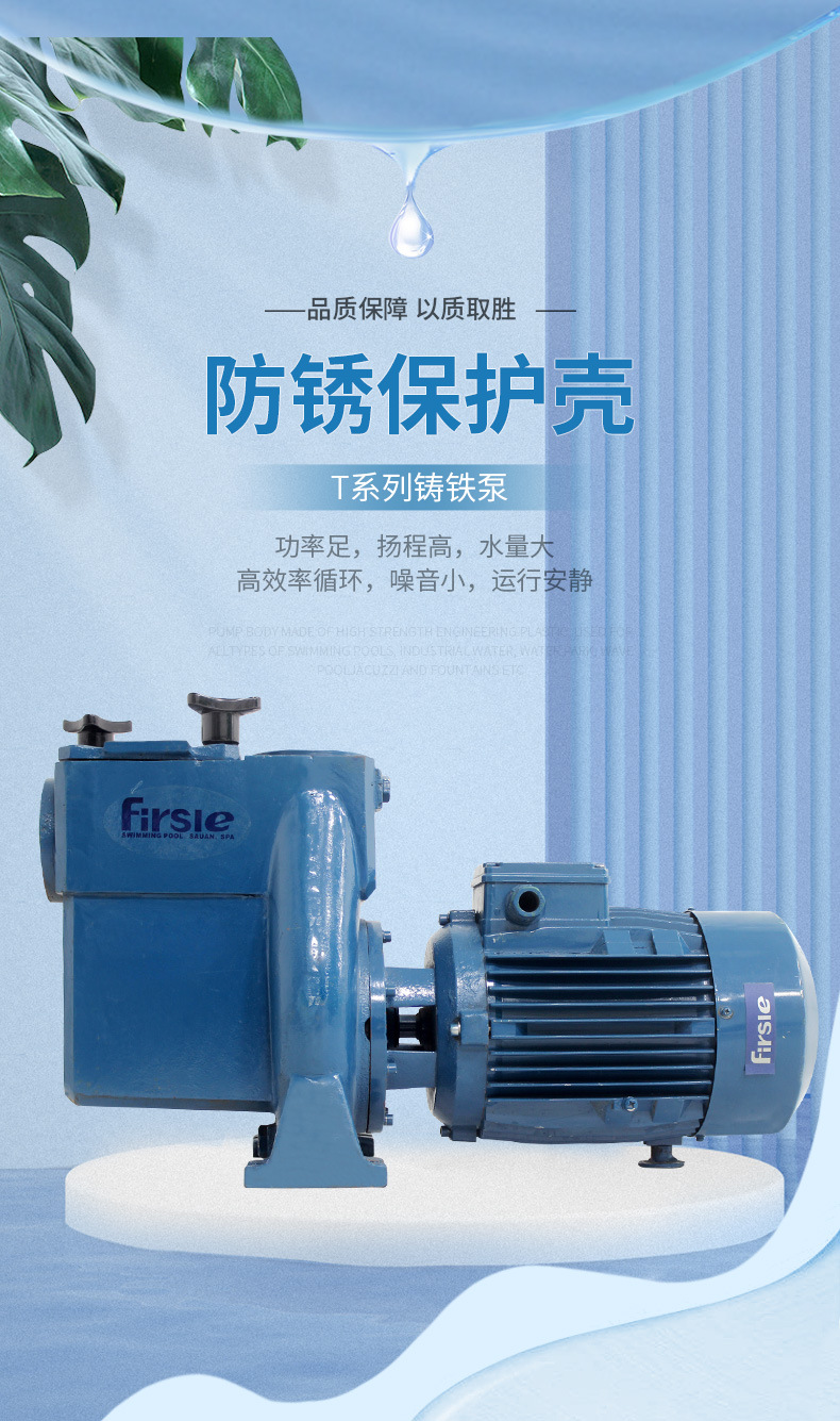 法思樂(lè)T系列鑄鐵循環(huán)水泵(圖1)