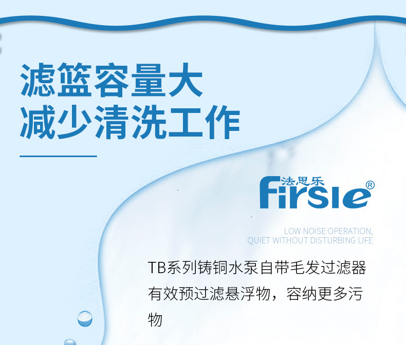 法思樂(lè)T系列鑄鐵循環(huán)水泵(圖5)