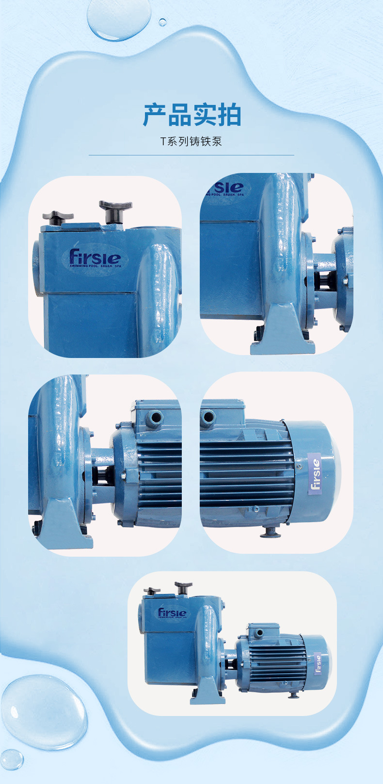 法思樂(lè)T系列鑄鐵循環(huán)水泵(圖11)