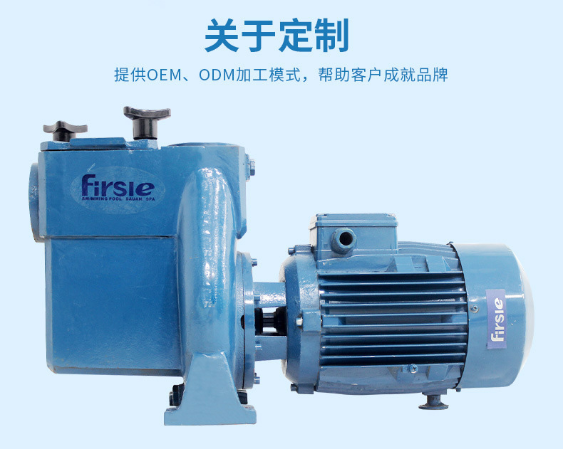 法思樂(lè)T系列鑄鐵循環(huán)水泵(圖12)