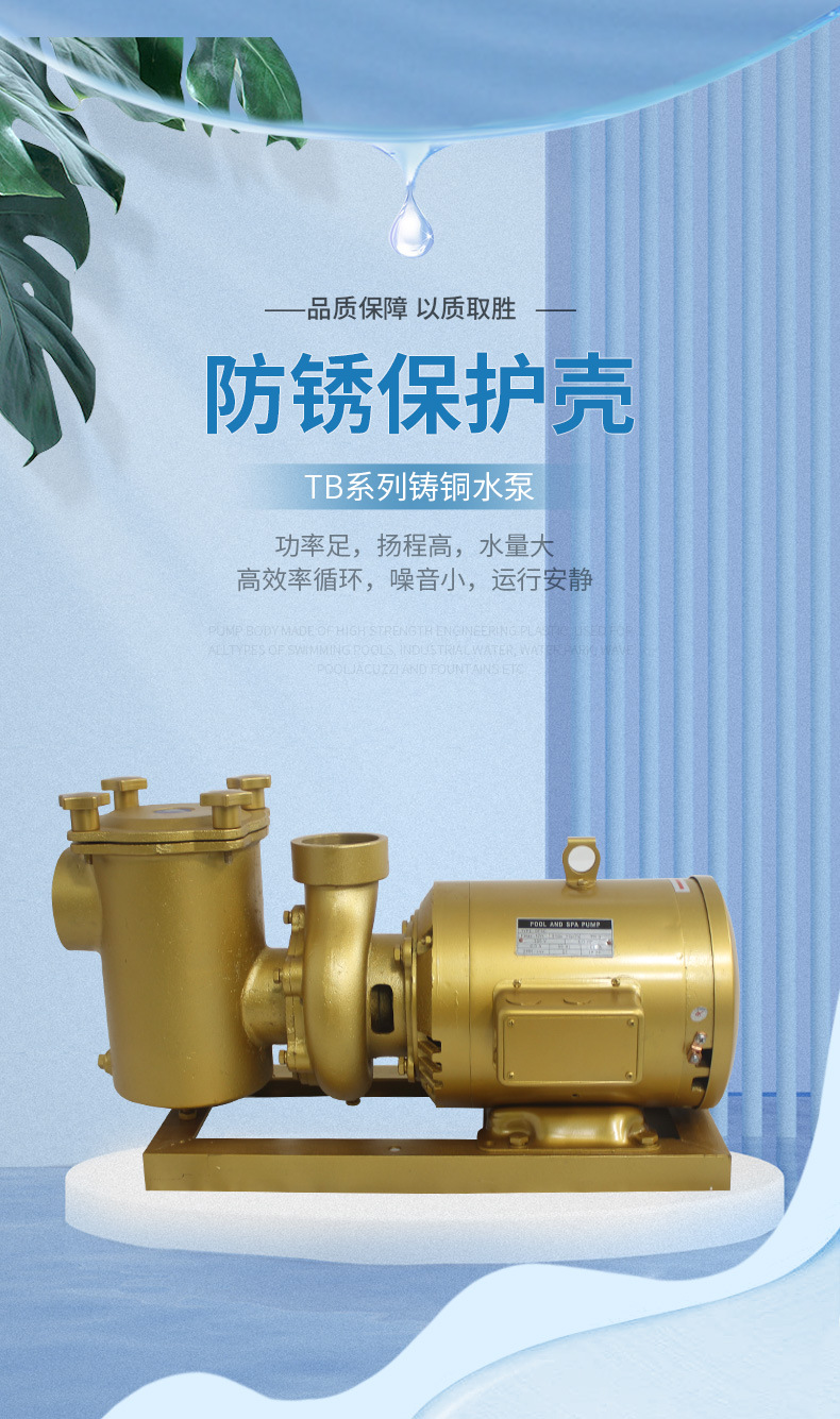 法思樂TB系列鑄銅循環(huán)水泵(圖1)