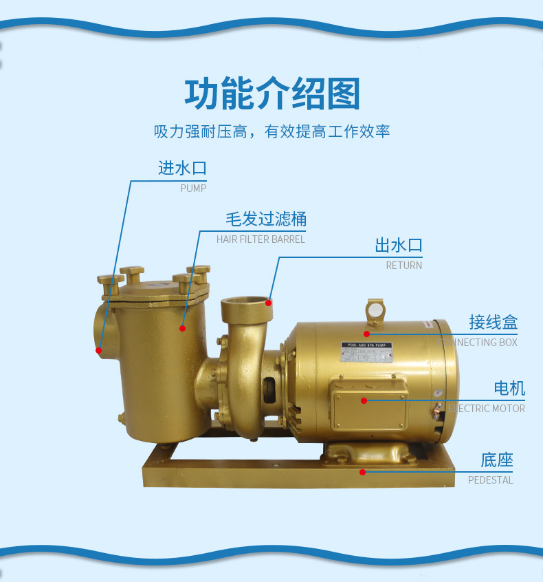 法思樂TB系列鑄銅循環(huán)水泵(圖4)