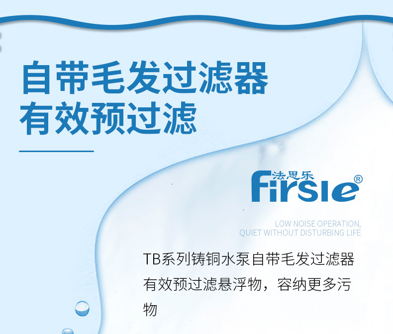 法思樂TB系列鑄銅循環(huán)水泵(圖6)