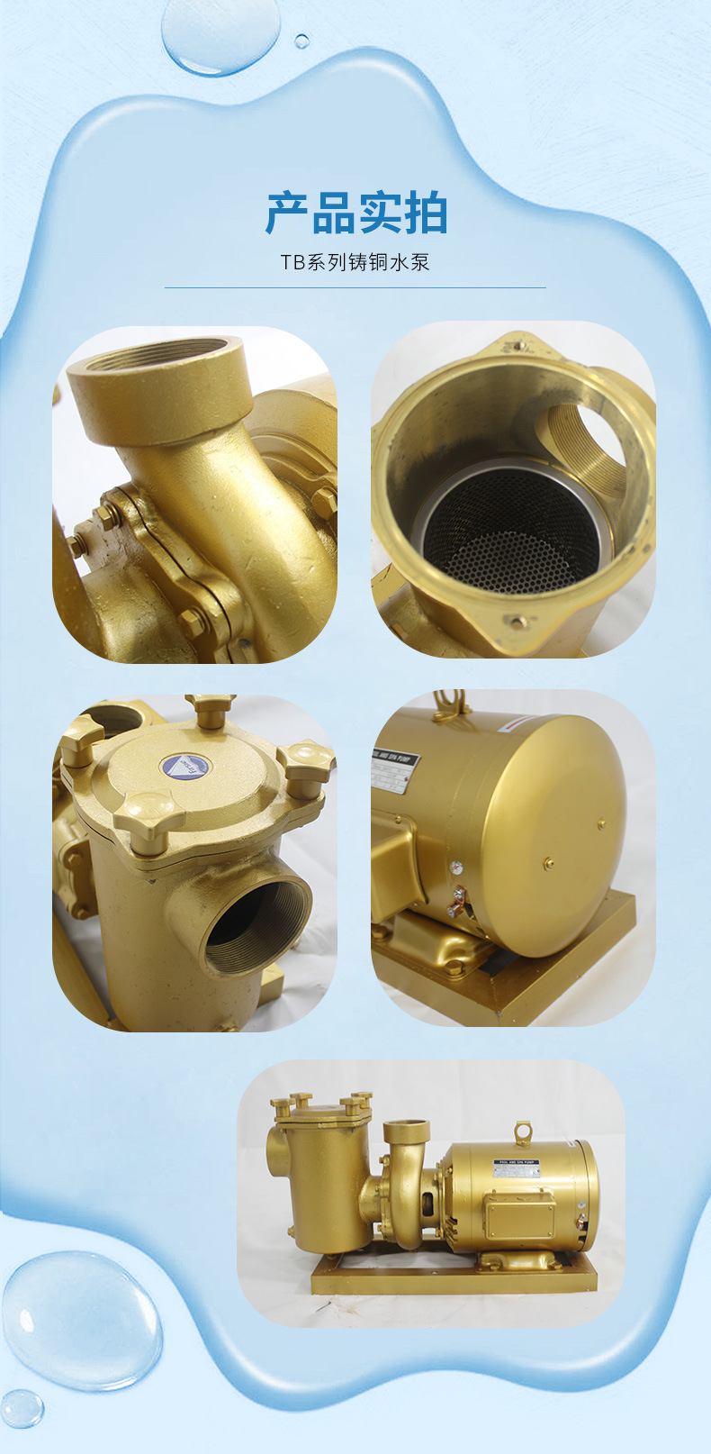 法思樂TB系列鑄銅循環(huán)水泵(圖12)