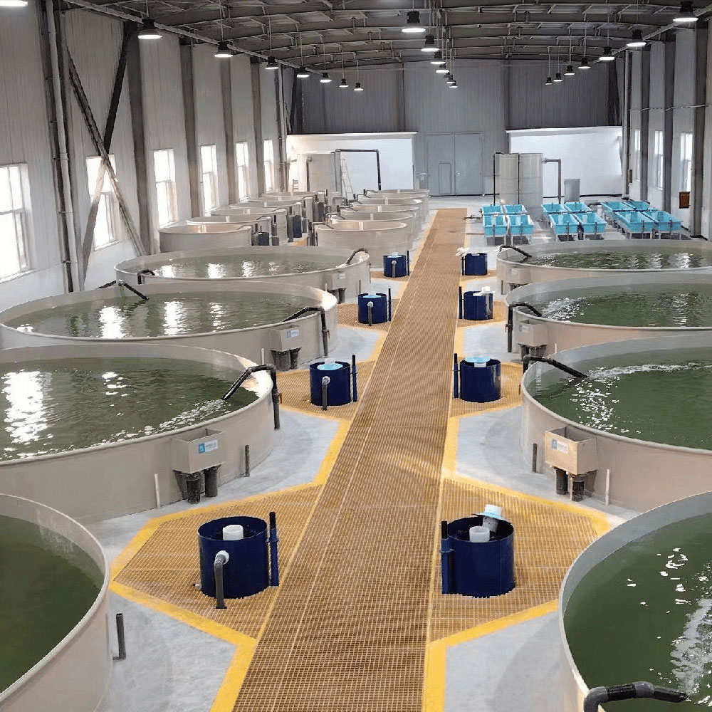 水產(chǎn)養(yǎng)殖水處理設(shè)備的發(fā)展現(xiàn)狀